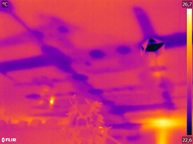 Fuite d'eau localisée par thermographie infrarouge